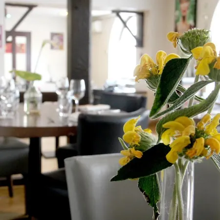 מלון Logis De France & Restaurant 3*